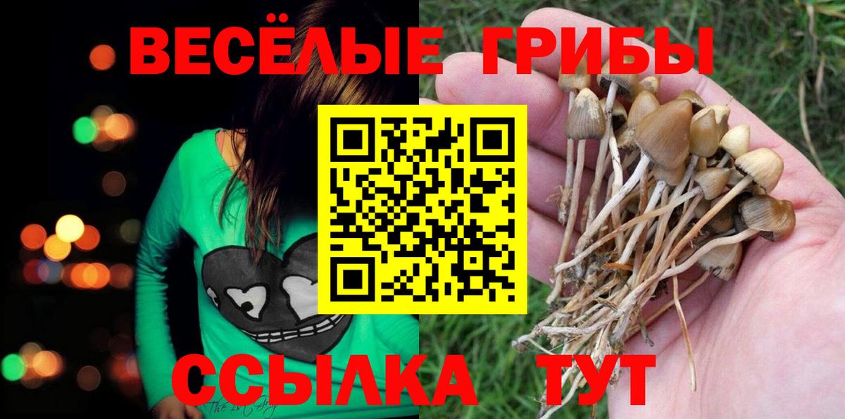 Псилоцибиновые грибы Magic Shrooms  Вход с VPN  Выборг 